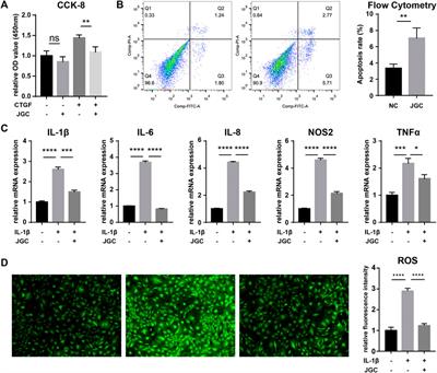 Single-cell analysis reveals that Jinwu Gutong capsule attenuates the inflammatory activity of synovial cells in osteoarthritis by inhibiting AKR1C3